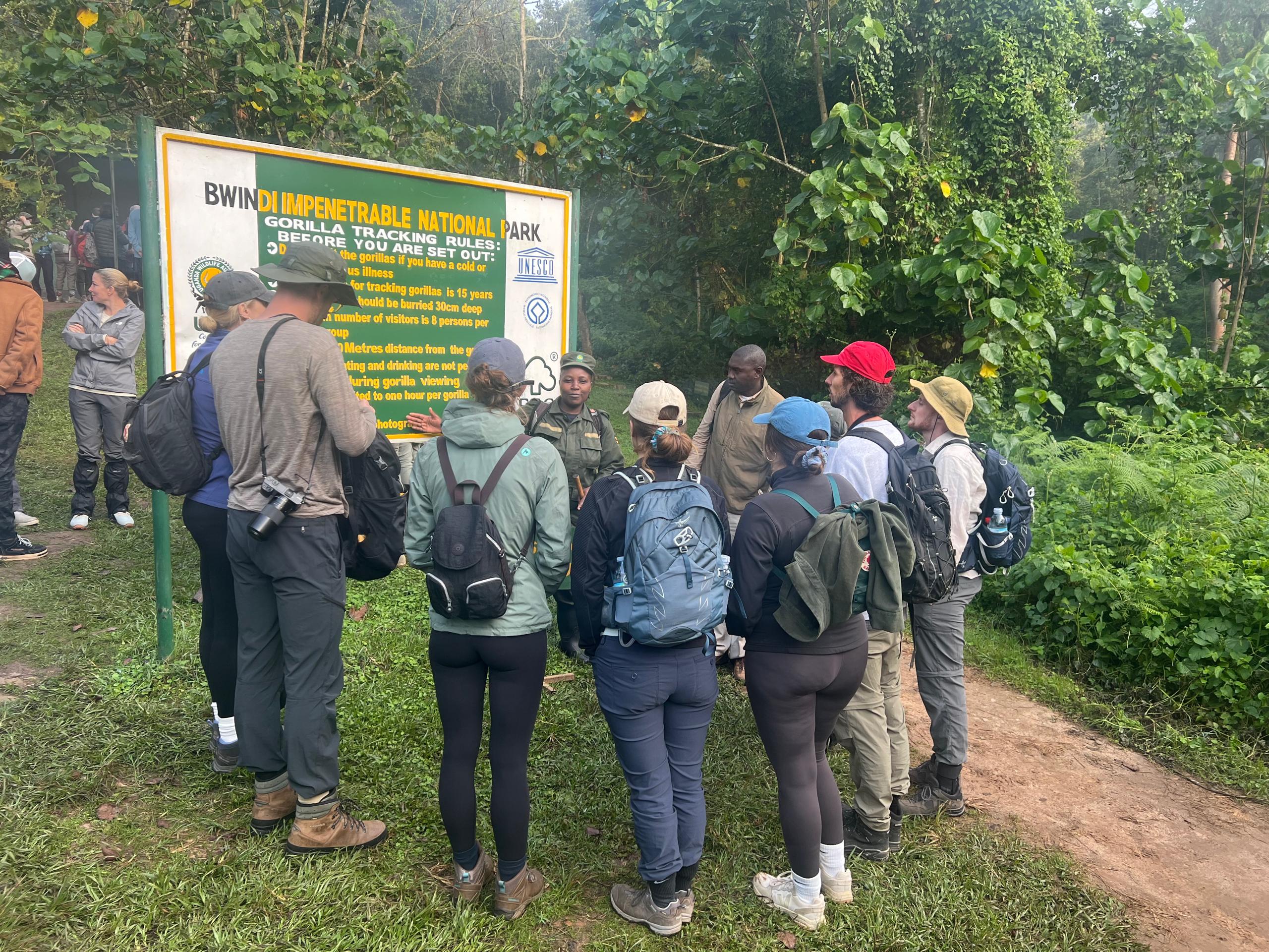 Bwindi Impenetrable Forest